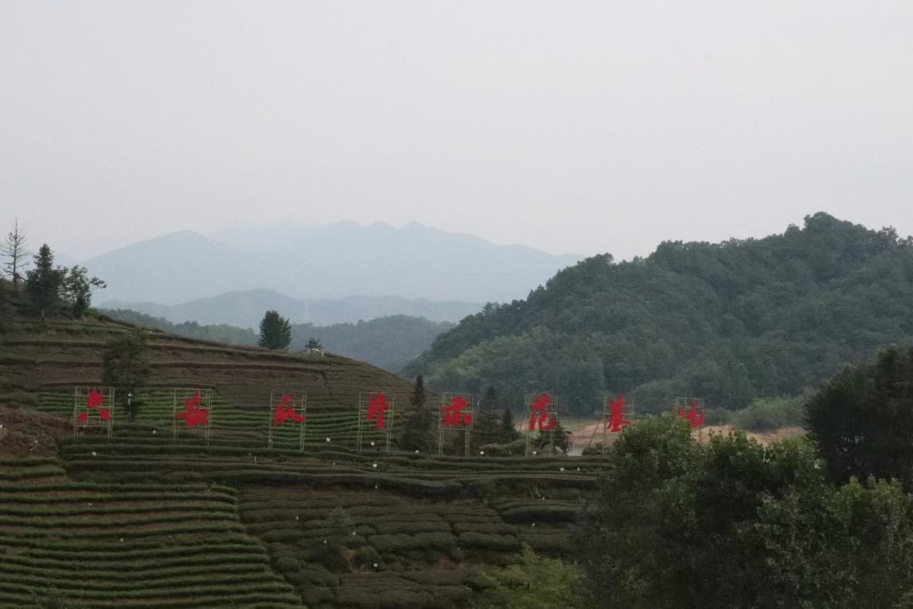 �����س�푲��������V�l�����dƪ��