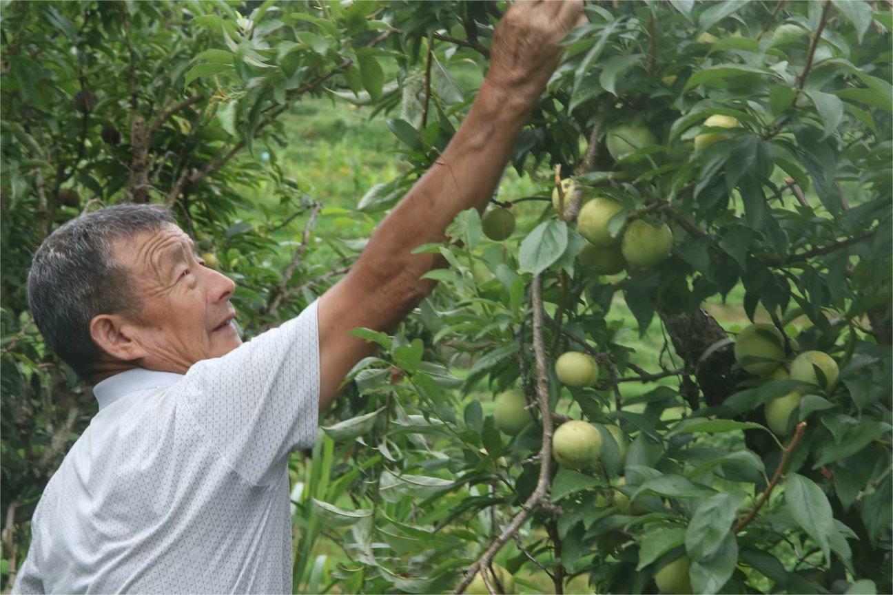 �۽��YԴ�lչ�������l�����d