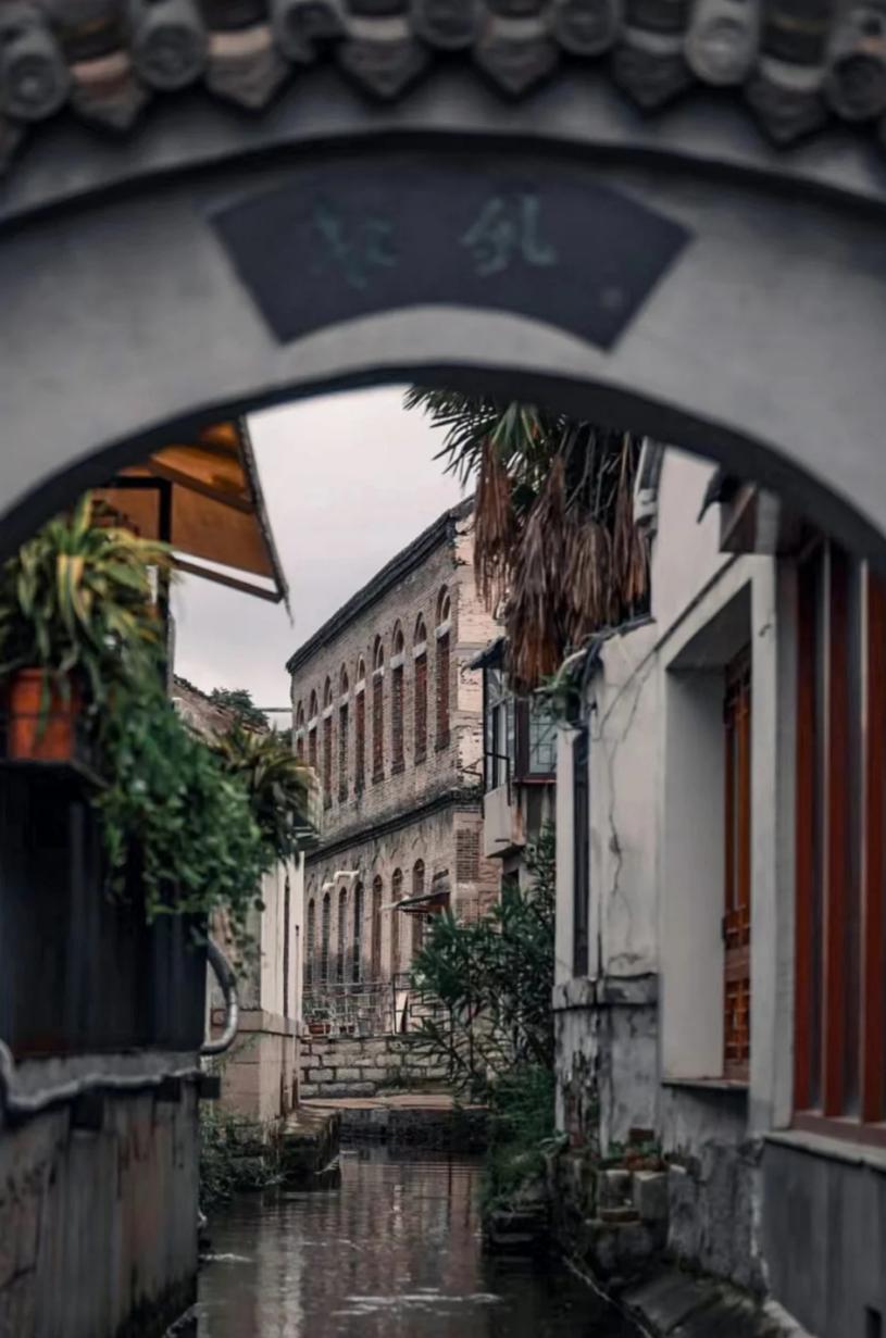 ɽ�|��W�r�ơ��С������`�{�ЈF-���ό����{��