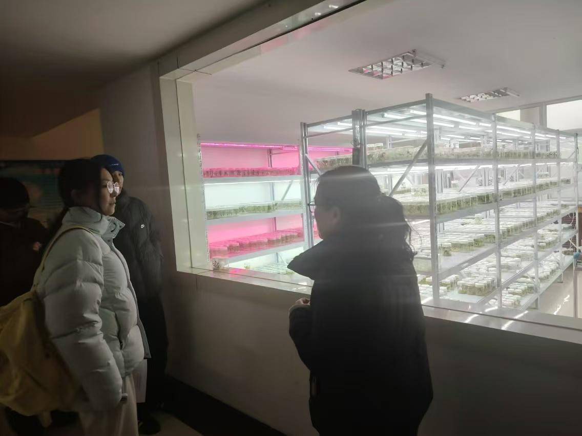 �Ƽ��x���r(n��ng)�I(y��)�l(f��)չ ���������l(xi��ng)�����d ���u�r(n��ng)���`�F(tu��n)����M(j��n)ɽ�|�߲��о���