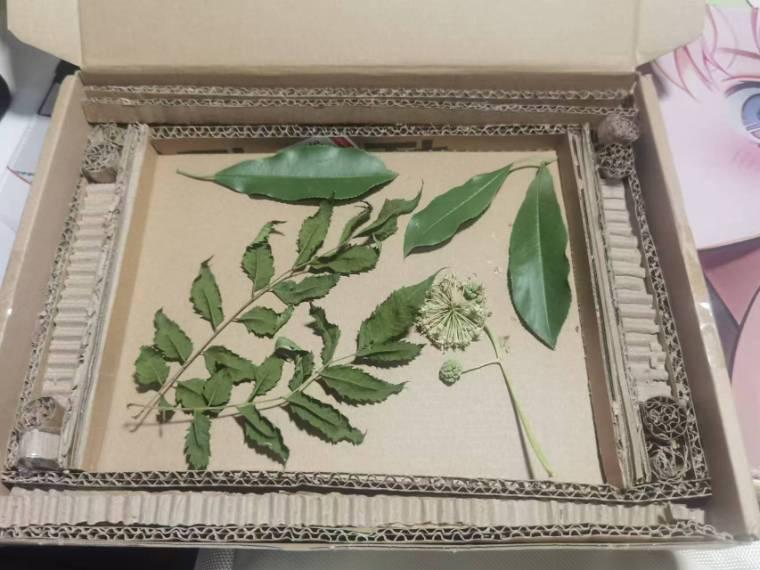 ���c�W(xu��)У���l(f��)չ������ľ���̌W(xu��)Ժ�e�k�����c�W(xu��)У���l(f��)չ�����}�Ą�(chu��ng)��Ʒ�������