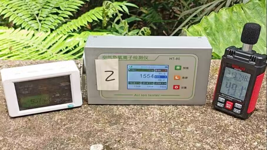 �����r(n��ng)�ִ�W(xu��)�����M�l(xi��ng)�壬����ɭ�ֿ��B(y��ng)�c��̼�l(f��)չ������