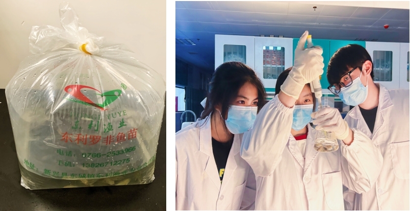 ���W(xu��)���ǻۆ��� �Ƽ��x�ܶ����O�I(y��)