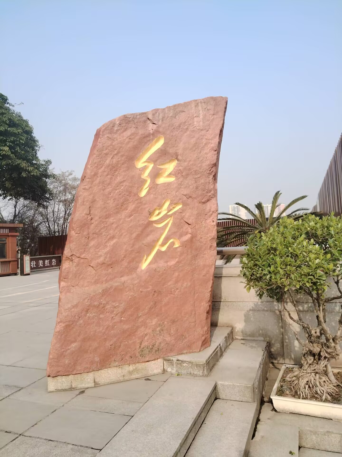 �|�ϴ�W(xu��)���(hu��)��(sh��)�`��̽��ɽ�Ǽt�r�E  ��P(y��ng)�����(��i)��(gu��)�ġ������|�ϴ�W(xu��)�ǽ��یW(xu��)Ժ������t�á���(sh��)�`�F(tu��n)�t�r�Ļ�̽���o(j��)��(sh��)