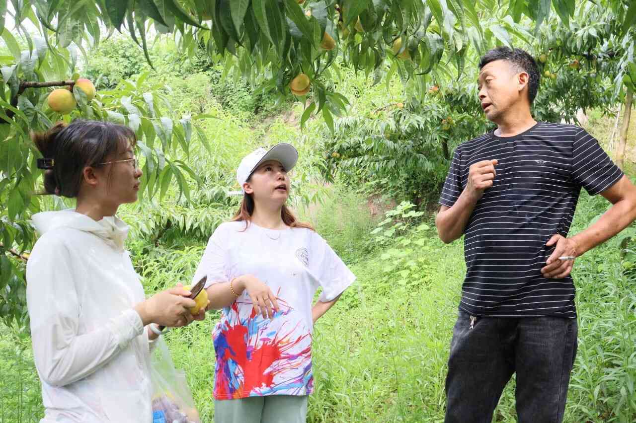 չ�O(sh��)Ӌ(j��)�L(f��ng)�� ���l(xi��ng)�����d