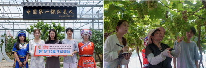 ����F�Y(ji��)�R�^��������y�ֹ���ԣ