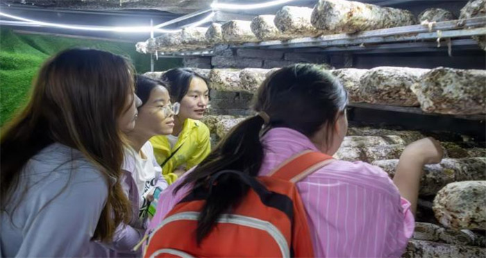 ���^�V���B(y��ng)ֳ���w��(hu��)��ɫ�r(n��ng)�I(y��)