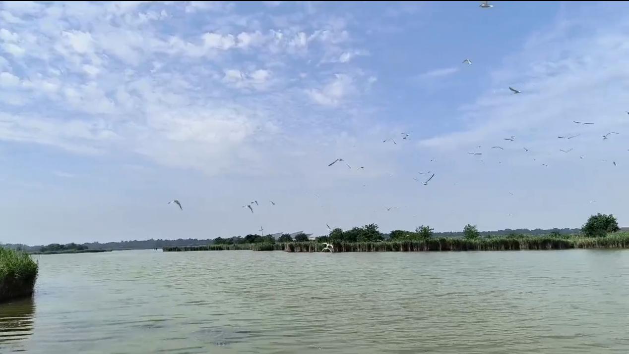 �Խ�ɽ����̽�L���֌��`