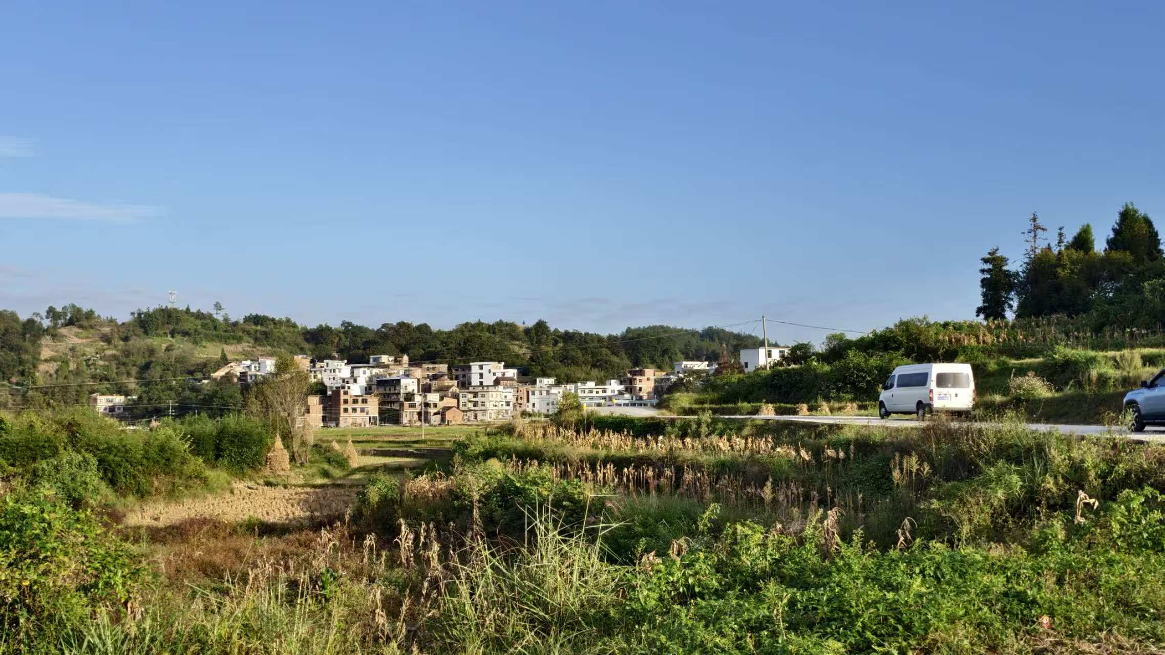 �F��ˮ���Rβ�C�������y��ˇ�ĬF������֮·