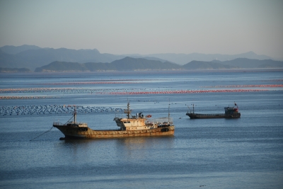 ����퍔y�ǻۣ��l(xi��ng)���L���d ���� ����W(xu��)��ϼ�֌�(sh��)�`ӛ��