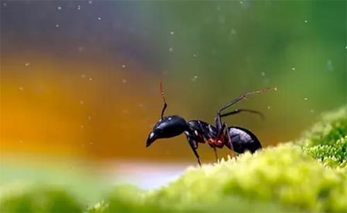 Λρ���~���l��Ū����