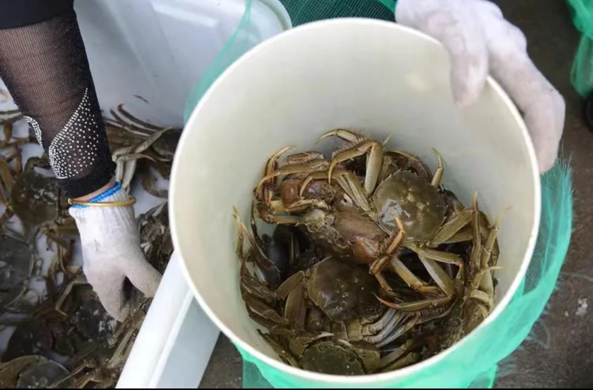 �l(xi��ng)�����d��ƪ�£������з�������ϻ�(li��n)�W(w��ng)�������r(n��ng)��������·��