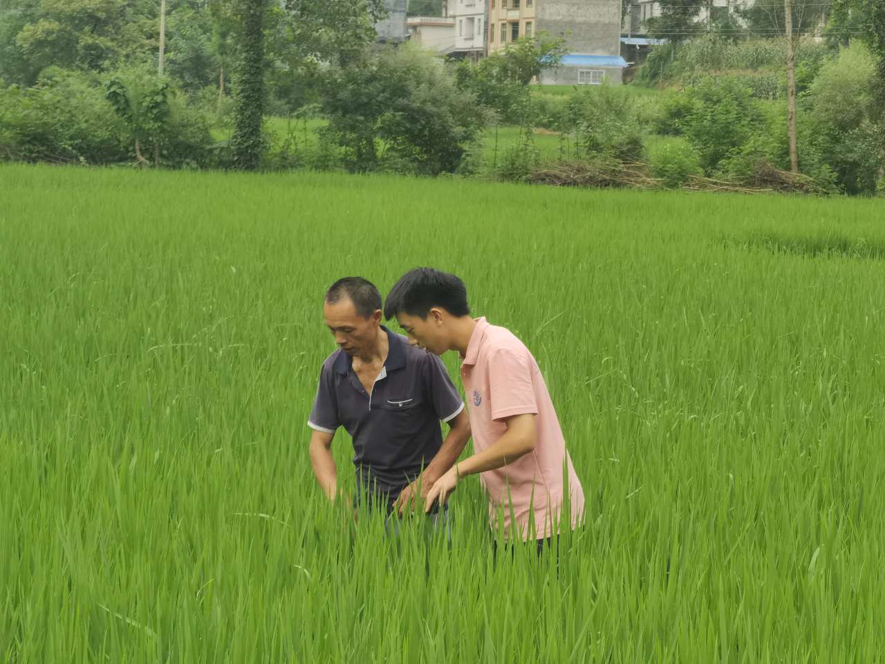 һ�һ���L�\�C�{�D��һ�Cһ�����l�����d