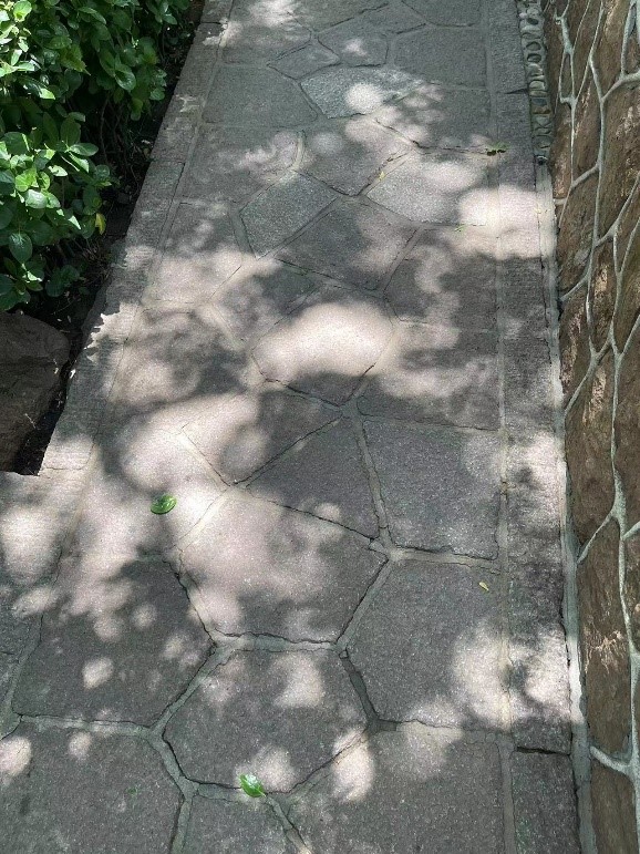 ɽ�|��W(xu��)�����ƌW(xu��)�W(xu��)Ժ��ϣ�ࡱ�{(di��o)�ЈF(tu��n)�����u�����υ^(q��)����ɽ�^(q��)�_չ���(hu��)��(sh��)�`���(d��ng)