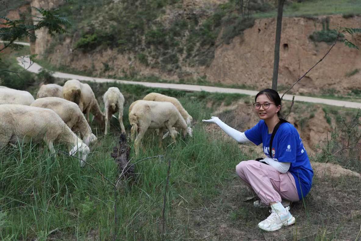 �������l(xi��ng)Ұ���ɆTʯ��(ji��)���v�匍�`�ĵã��ߣ�