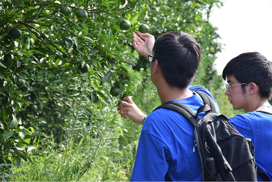 �C�������@���飬�Ƽ����r�d�l��