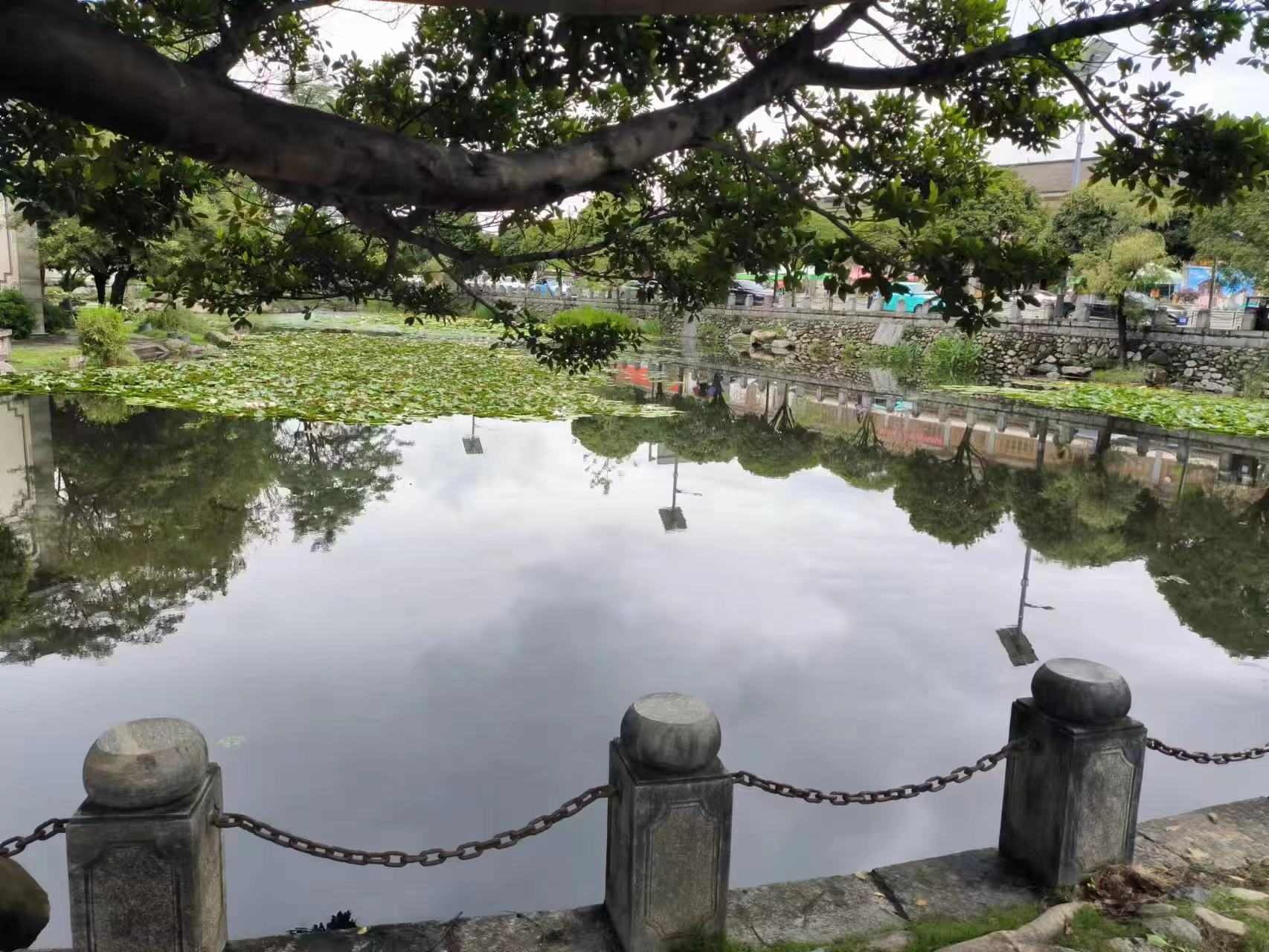 ������`���M��������ϲ�޹��