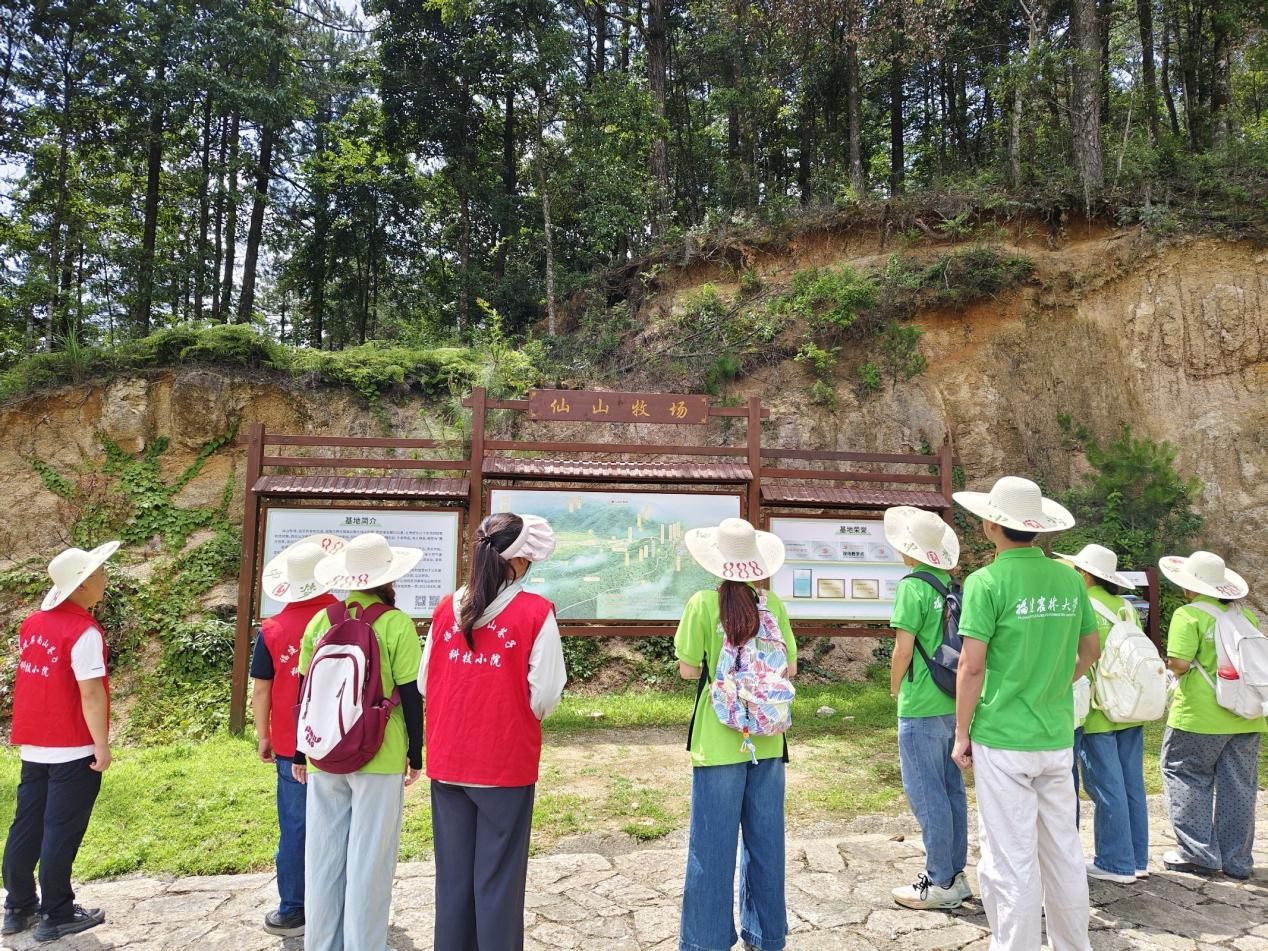 ���M��ɽ������׷������ӛ���E�������������