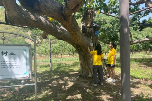 ��ϣ�������������y�l(f��)չ����δ��