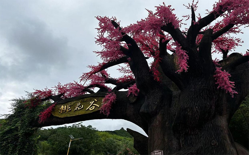 ��ˮ�d�ã��fò�Q����������P�һ��ȿ���ˮ���{�Ă��󹤳�