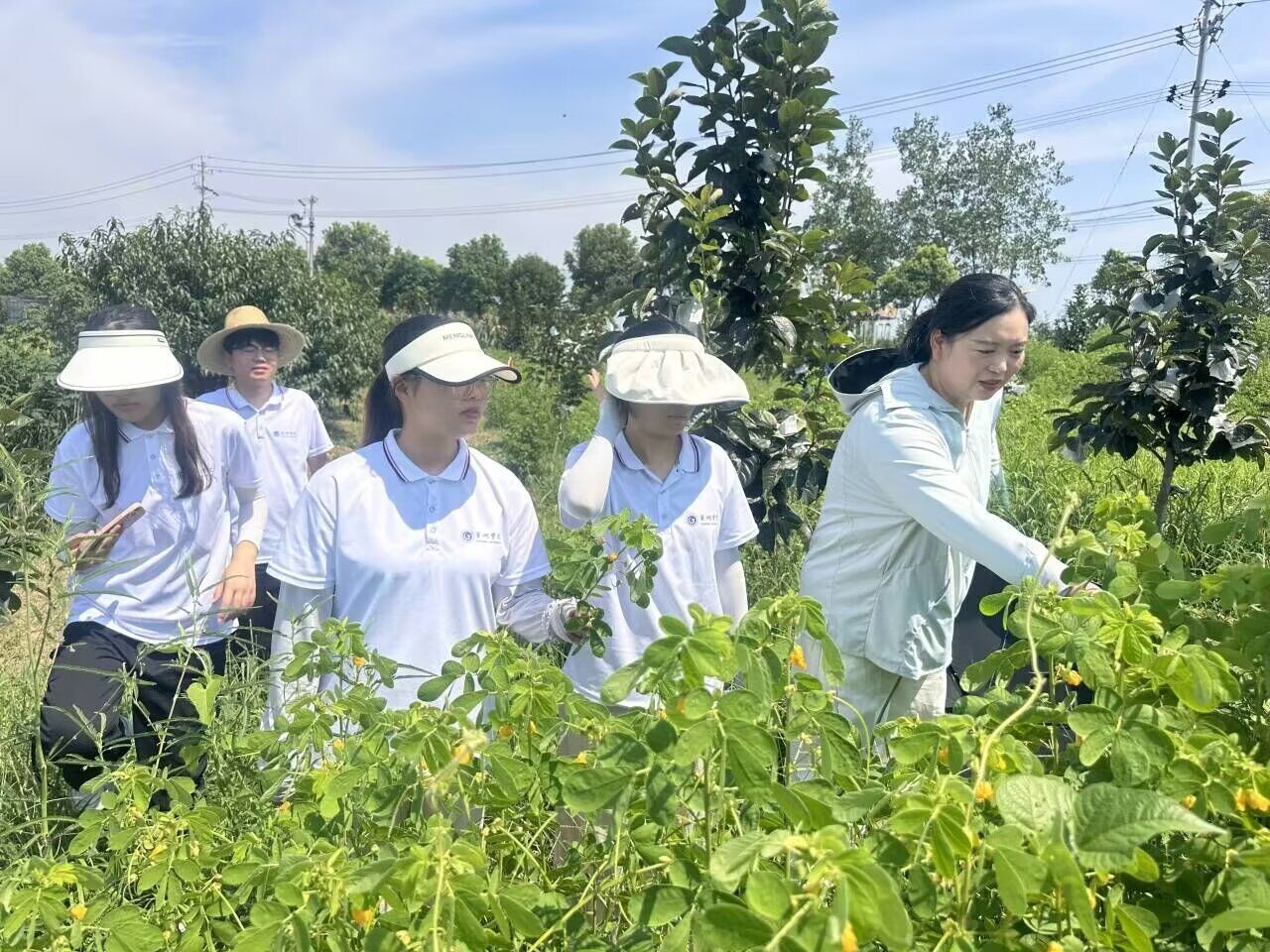 ���ǿv׃�����t(y��)����