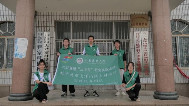 С���ѡ���������������