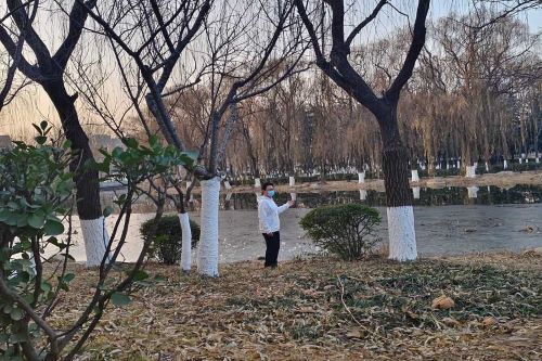 ��ɫ�Ŵ�`����~���l�����d·