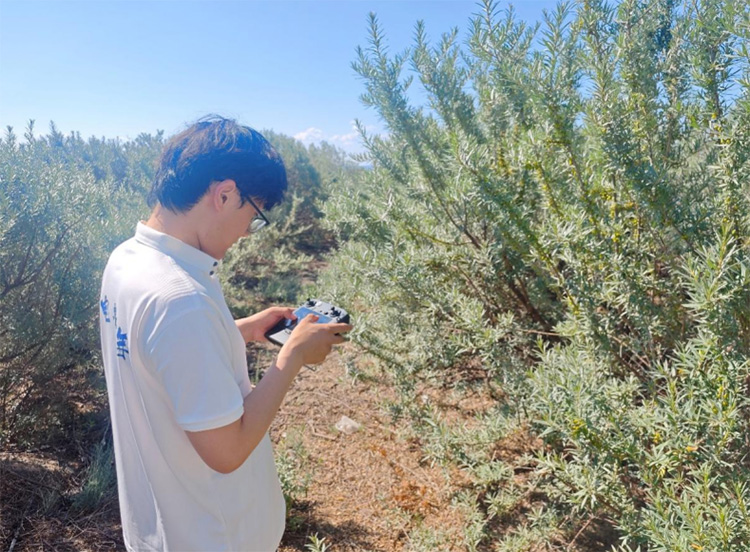 ʯ��W�Ӹ����Ї�ɳ���ǡ��_չ�Ƽ�֧�r���` ����ɳĮ֮���`���¸���â