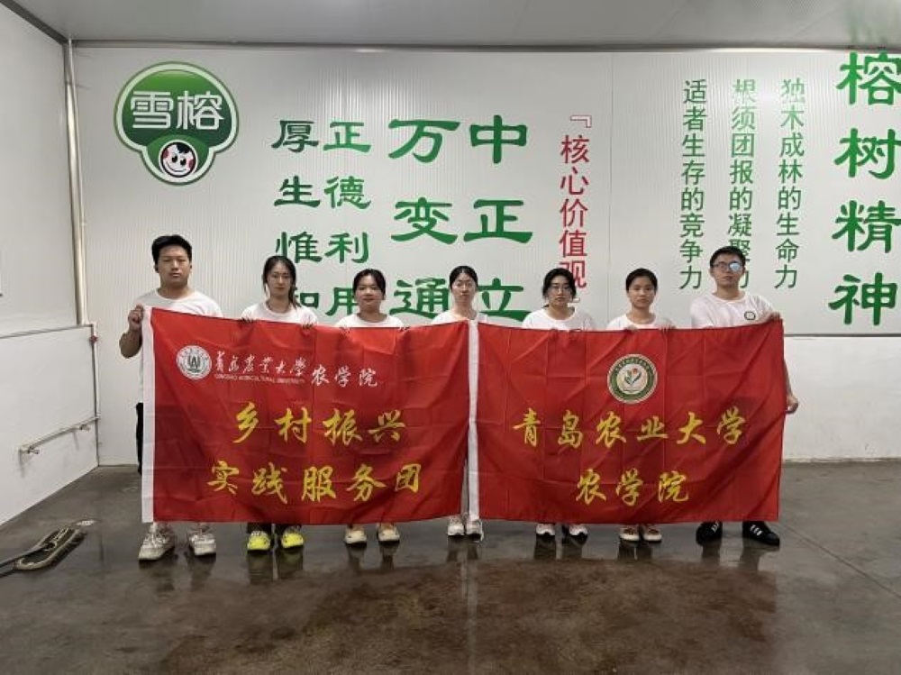 ������I(y��)ԃ�{(di��o)�У��Ƅ����귵�͘I(y��)