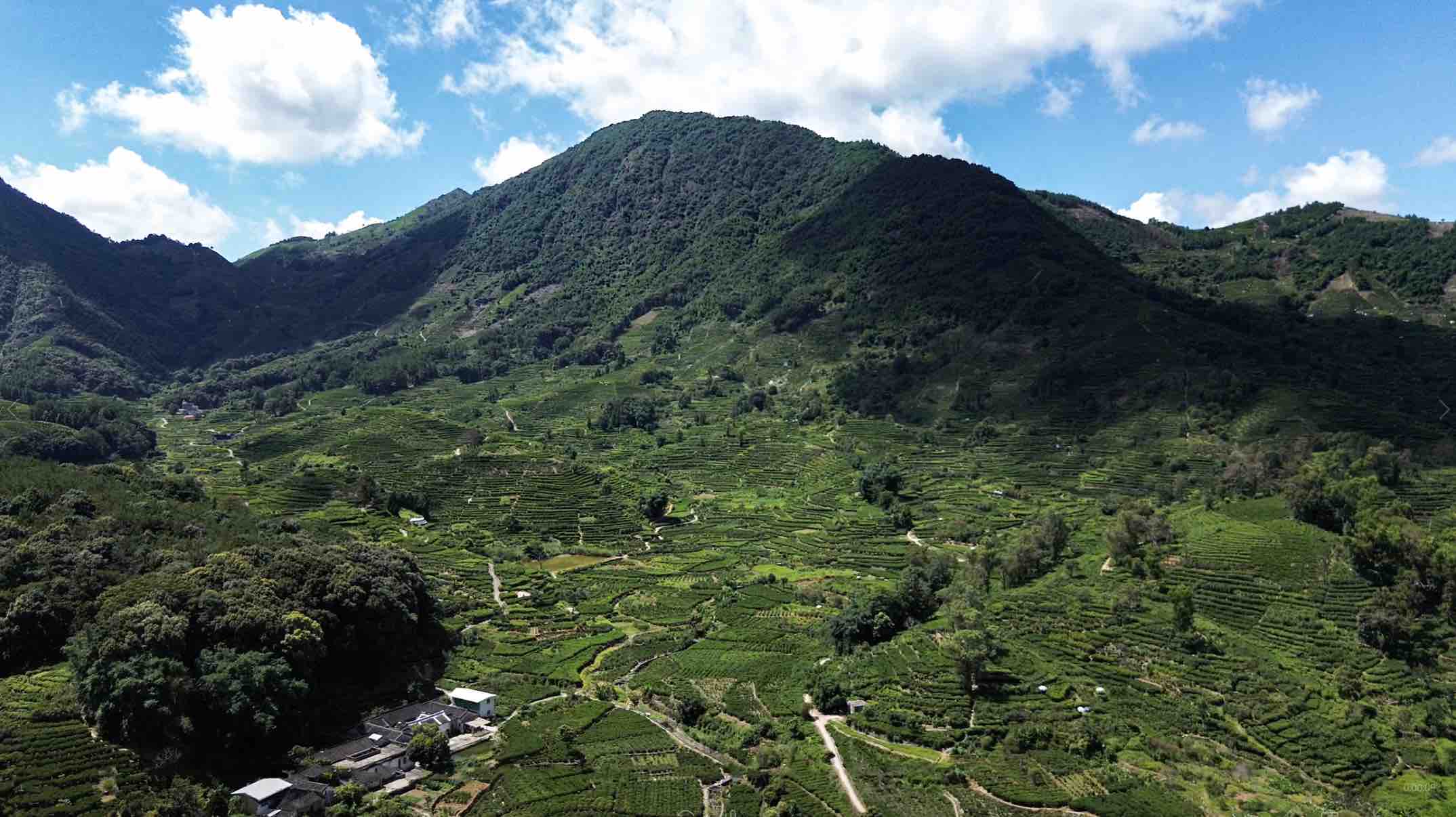 ̤���f����ɽ ��ζǧ���I