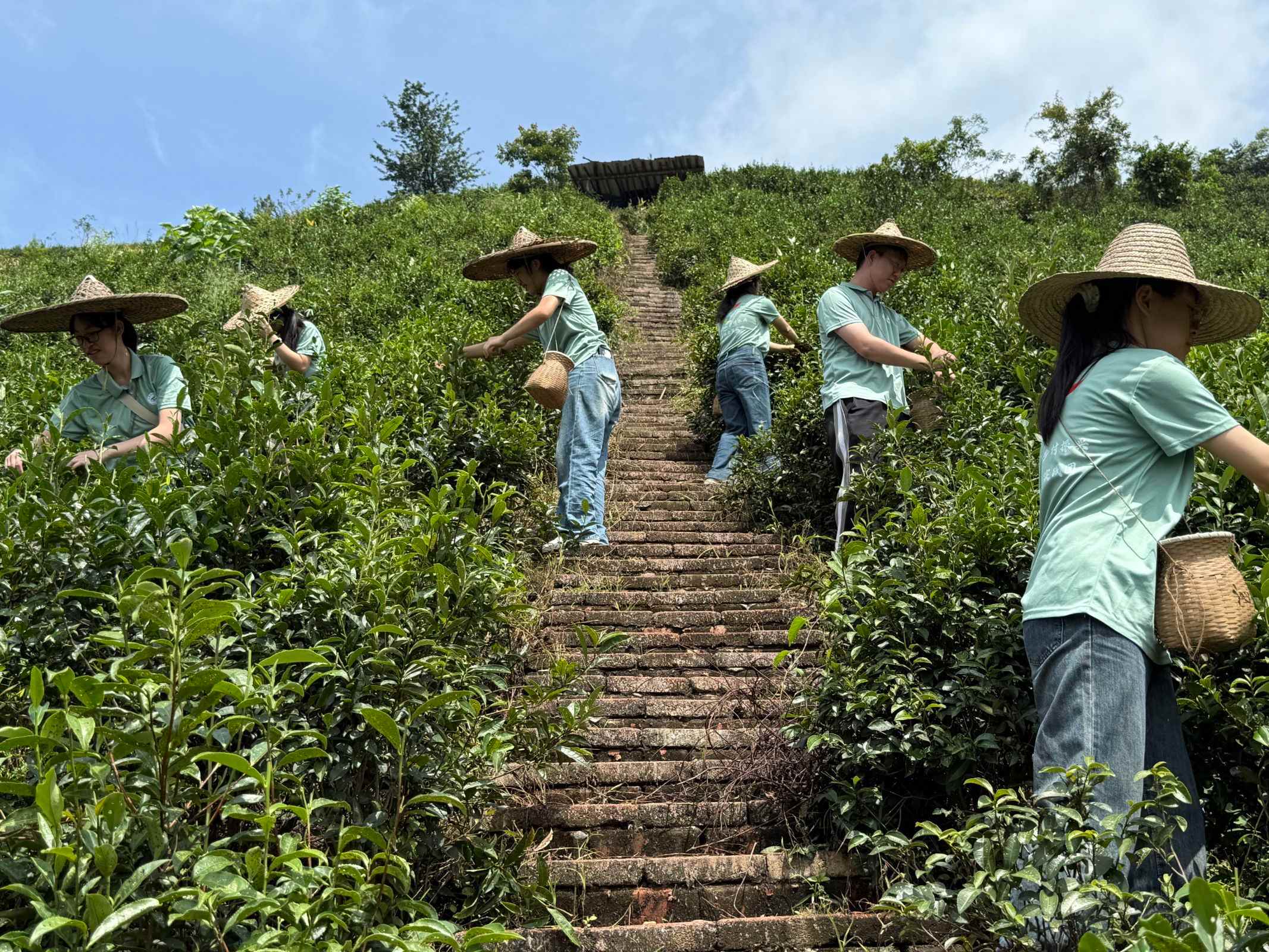 Ʒζǧ���퍣��������z����