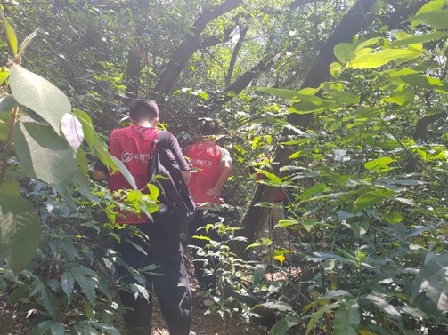 �ƏVʳ�þ��������lչ