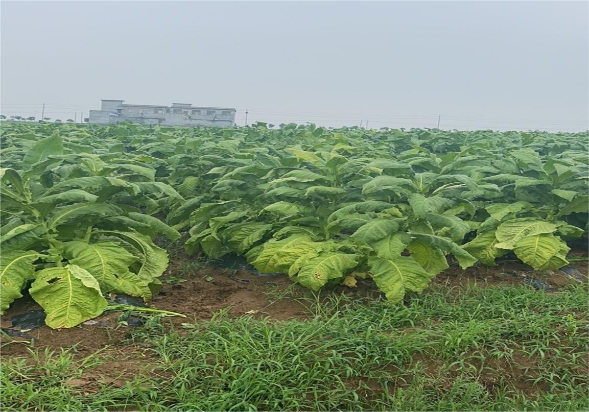 �����Z���x���������r�Fꠌ��ؿ��쟟�~�Nֲ�Ϳ������أ�ȫ���˽⟟�~�������ӹ��^��