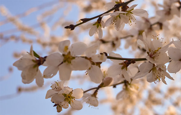 ���L������