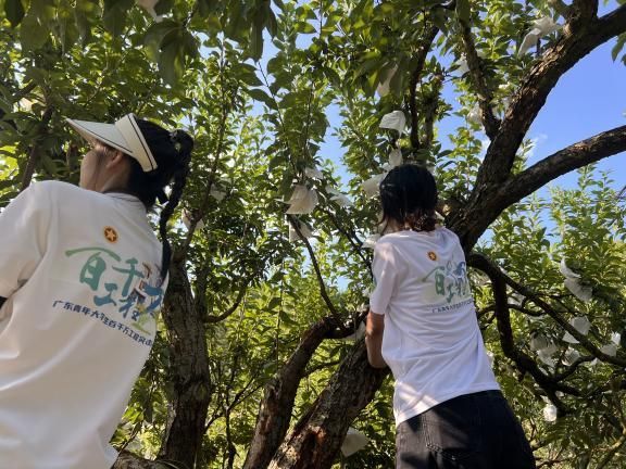 ��ǧ�f���̡�Ӱ�Ә�����������`��cʡ���p���Єӡ������ŷ��(zh��n)���_չ�r(n��ng)�I(y��)�ЌW(xu��)���