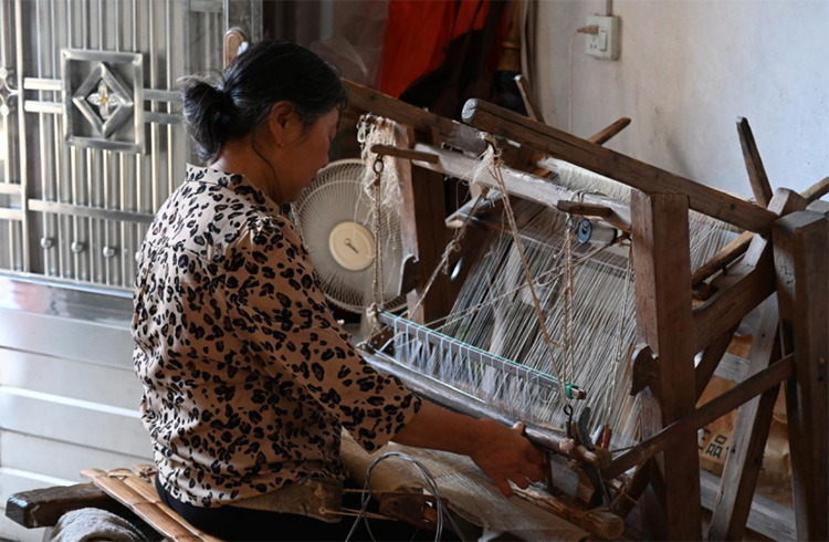 ���ֿ��Ĳ������㝙�ഺ������Դ����(m��ng)���ÈF(tu��n)���z�Ĳ��w�(y��n)�L���l(xi��ng)�������ƪ