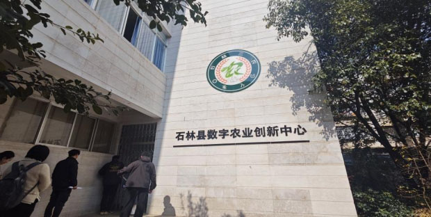 �����F������{��ʯ�֔����l���¾֣�̽���l�����d�lչ����