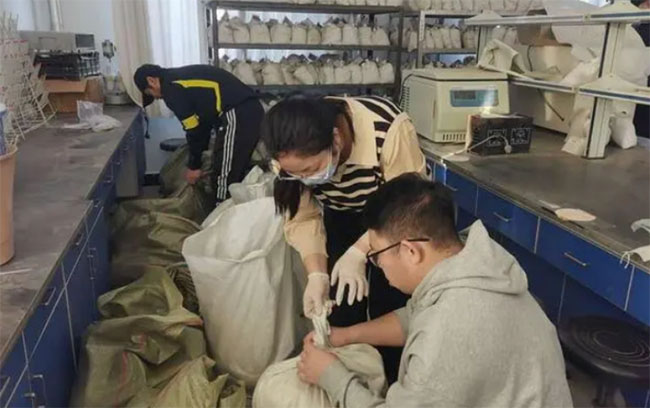 ���ഺ����c���l�Ĺ���