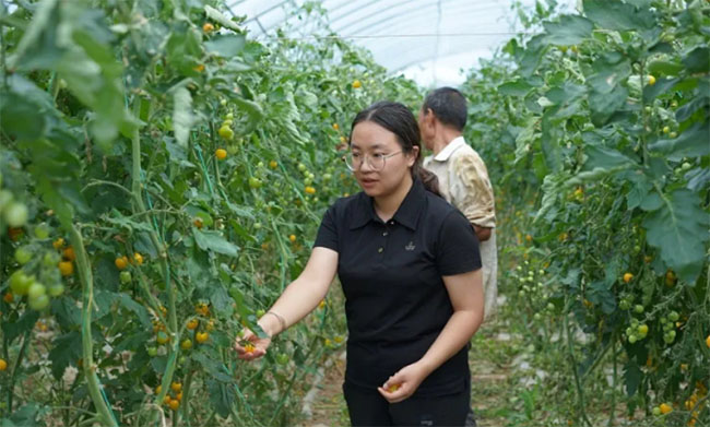 �ഺ֮���������`��