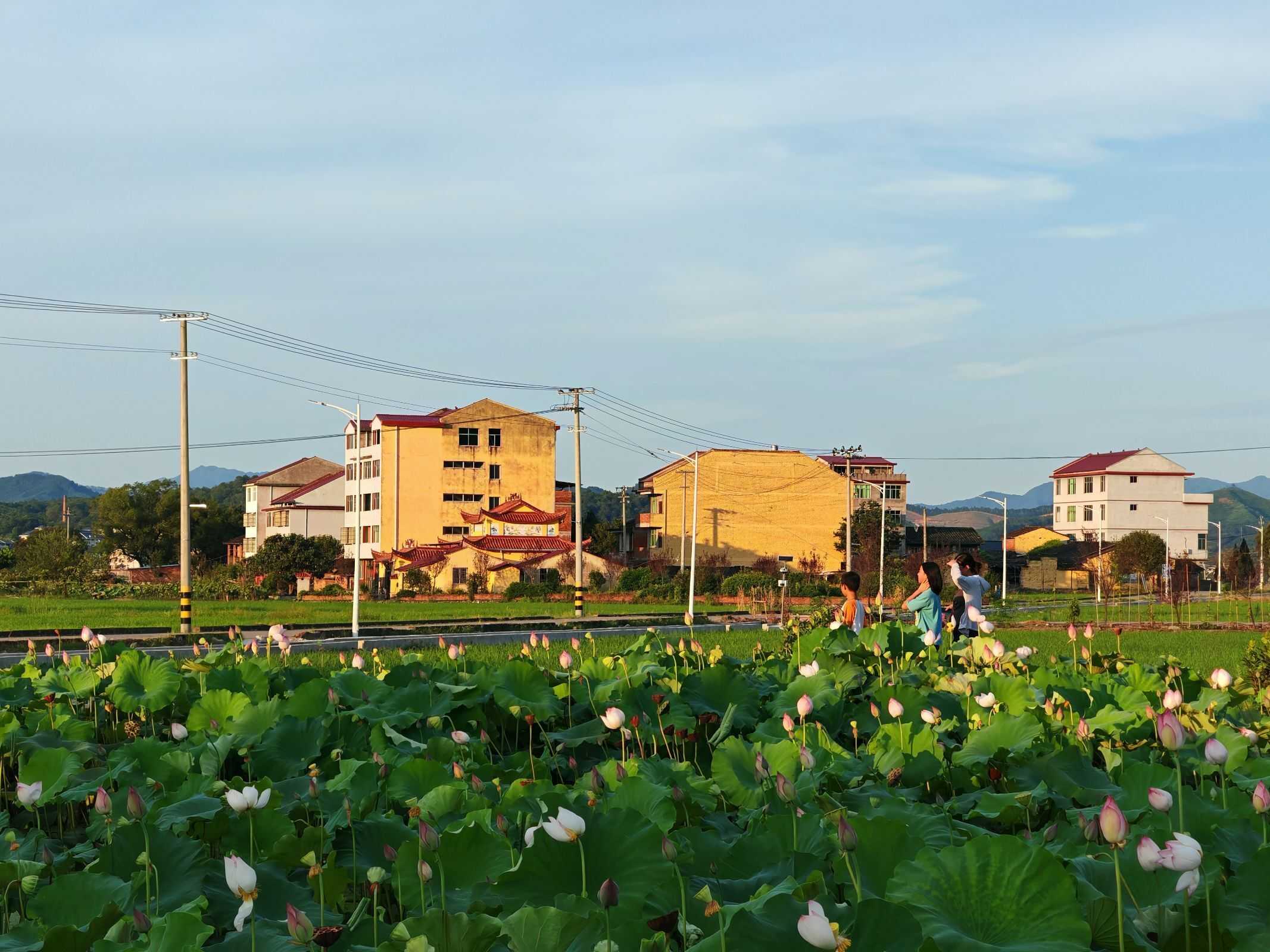 ����M�����L�P�����`�鷫ܲ�°�