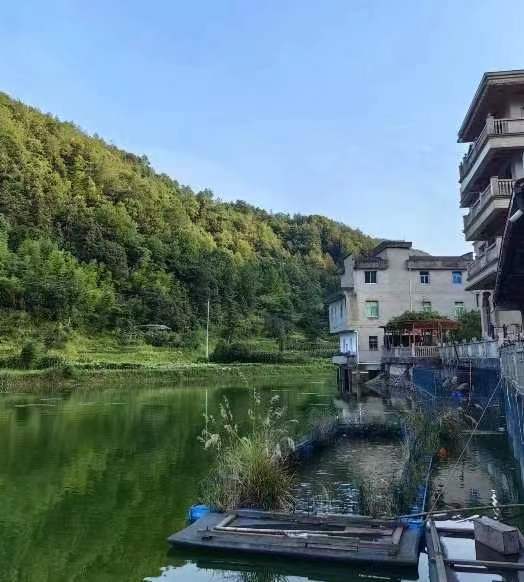 ̽�L�����l�� �۽����˰ˑ��ԡ������̡����㽭���̴�W�h���WԺ�����ɴ塰�L�������l患��残���d�{�D�����`�F