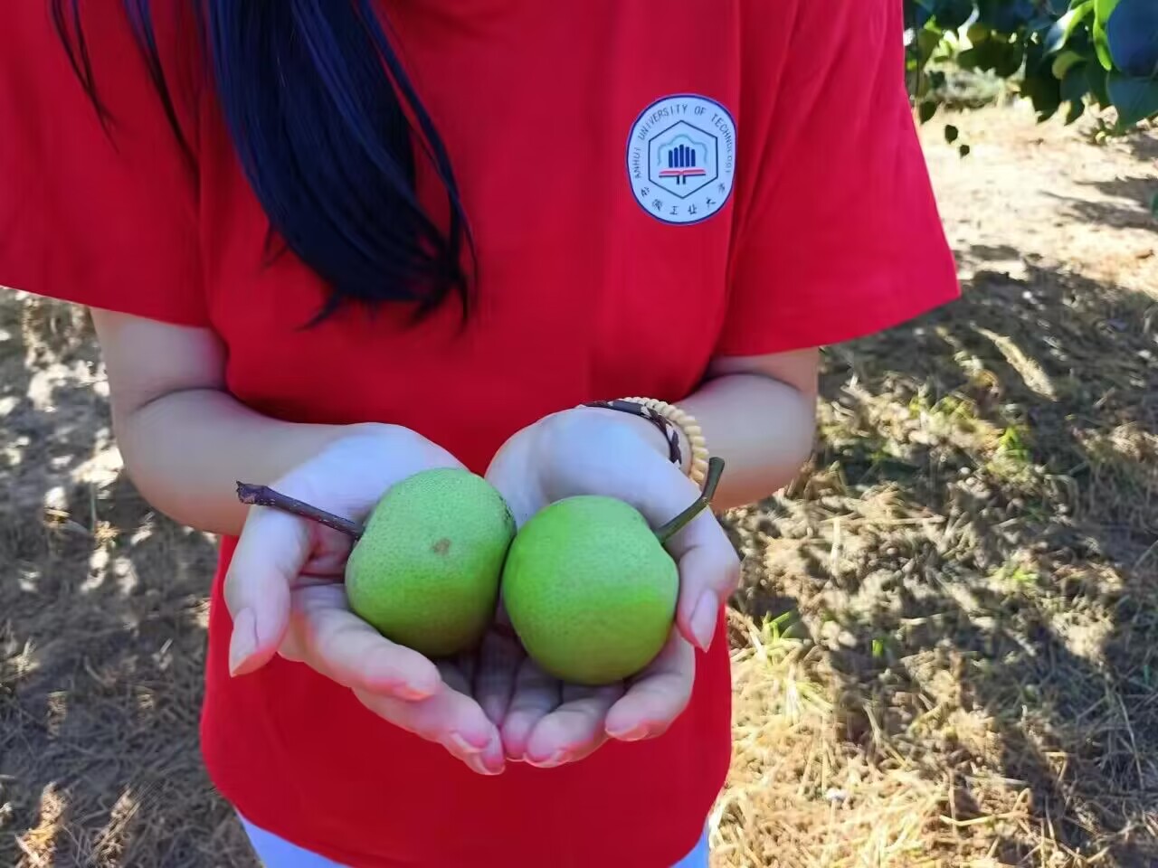 ���ՌW���l���У��������� ������Ұ�g