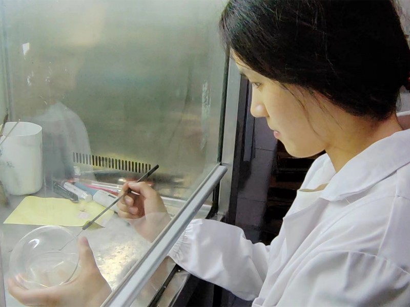 ����������W�W�ӓP��������֮�������Ҹ�����֮��