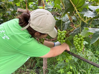 �ഺ����Ұ�`�š���ӛ���r�����h�����`�F�������޼�־Ը���