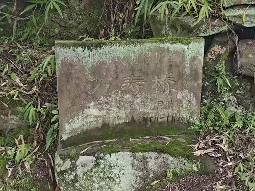 ��Ժ�W(xu��)��̽�f�ۘ�Ғ�vʷ�z�