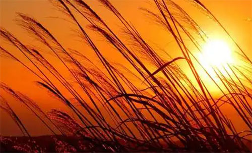 б��£��ȴ��Լ���Ӱ��