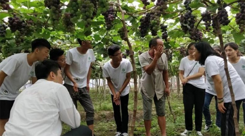 ��Ĥ�������Gɫ���������r��Gɫ��ĤӋ��