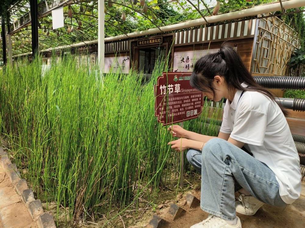 �S�������в�ˎ�{(di��o)�У������x�^���в�ˎ�����B(t��i)�h(hu��n)��