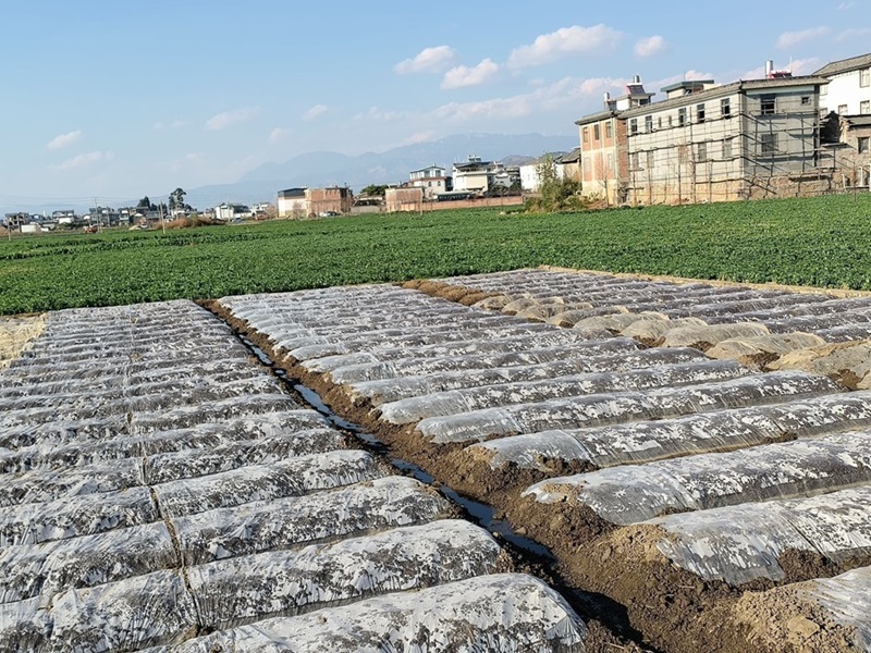 ̽�����r(n��ng)�ˣ��l(xi��ng)������ò