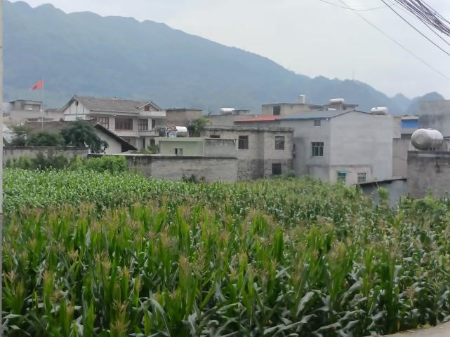 ���L�Ǝr�F��⌍�飬̽����Ԫ�lչ��·��